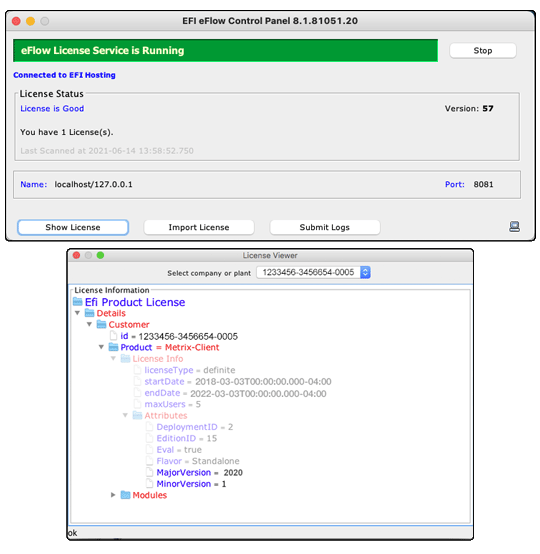 Ein schwarzer Hund rennt über die Wiese