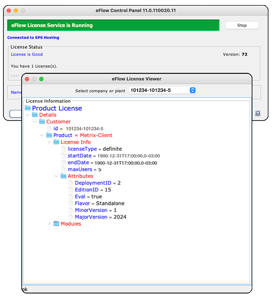 Ein schwarzer Hund rennt über die Wiese