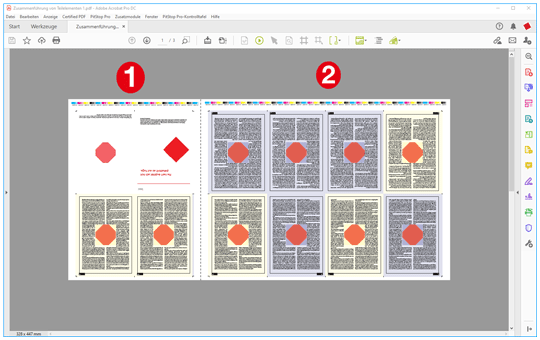 Montage auf eigenem Hintergrund